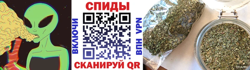 купить   Пятигорск  Бутират Butirat 