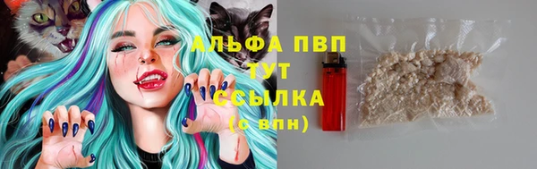 прущие грибы Горняк