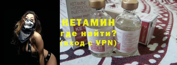 прущие грибы Горняк