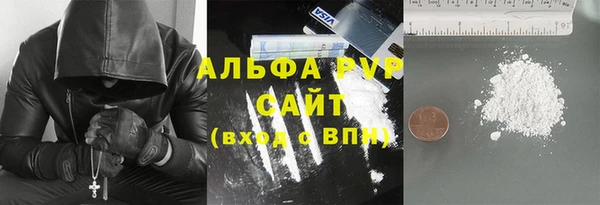 прущие грибы Горняк