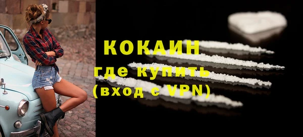 прущие грибы Горняк