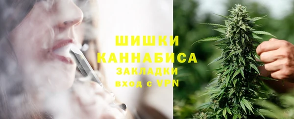 прущие грибы Горняк