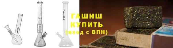 прущие грибы Горняк