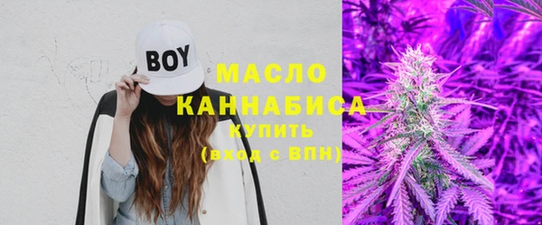 прущие грибы Горняк