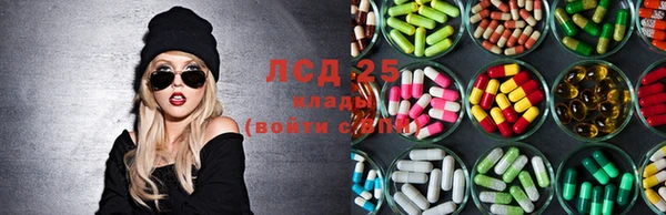 прущие грибы Горняк