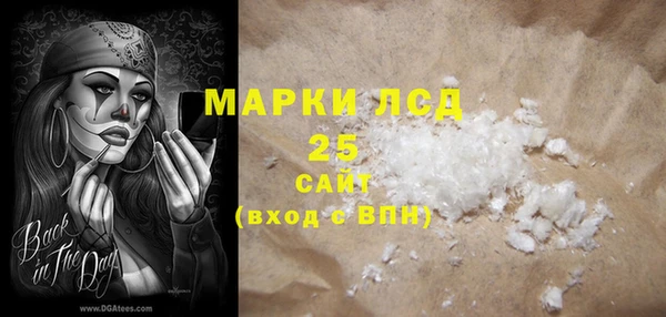 прущие грибы Горняк