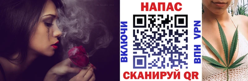 как найти   Пятигорск  Каннабис White Widow 